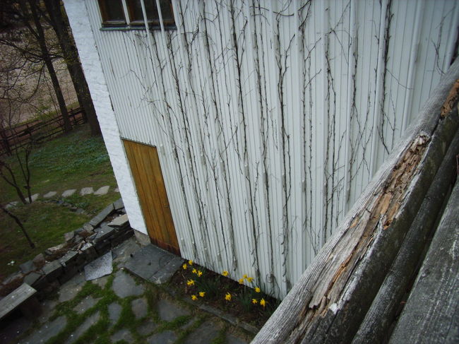 まずベランダに出ました。