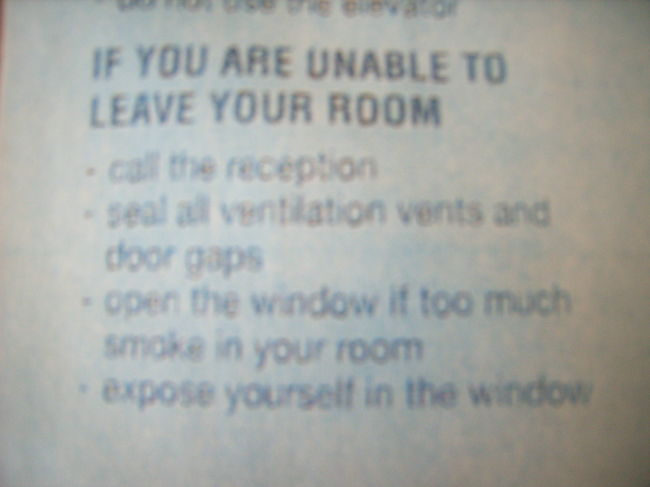 その絵の説明文。