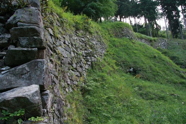 上まで登ってみました。