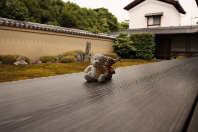 大徳寺塔頭 「龍源院」 』今出川・北大路・北野(京都)の旅行記