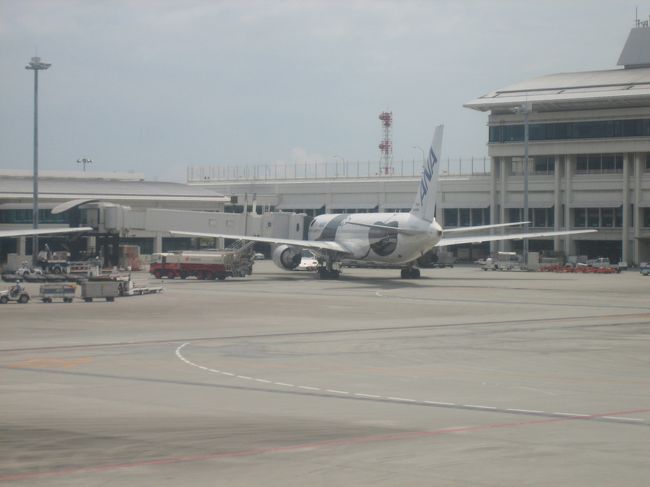 沖縄那覇空港。<br />パンダジェットを発見！<br /><br />レンタカーを借りて那覇市内に出〜発！！<br />