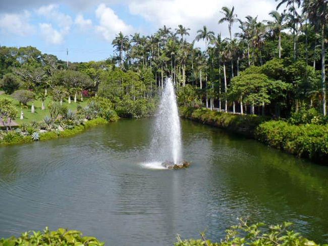 また行っちゃいました。<br />４，５回目かも。<br />東南植物楽園です。<br /><br />恩納村から那覇市内のホテルに移動する途中だし、もちろん無料入場券あるし〜。