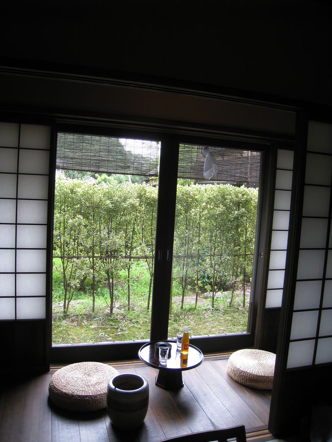 外の景色ものんびりで癒されます。