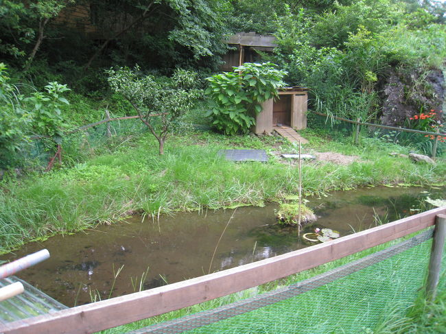 こういう小さい池があったり、