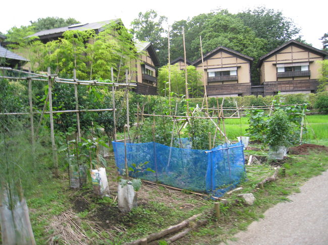 野菜なんかも作っているようです。