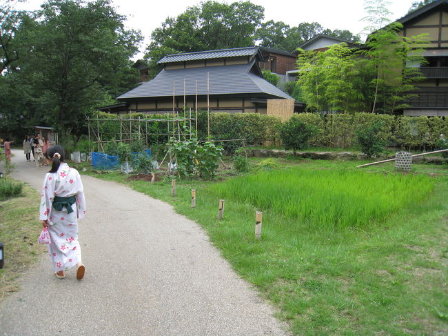 浴衣姿が絵になります。その?