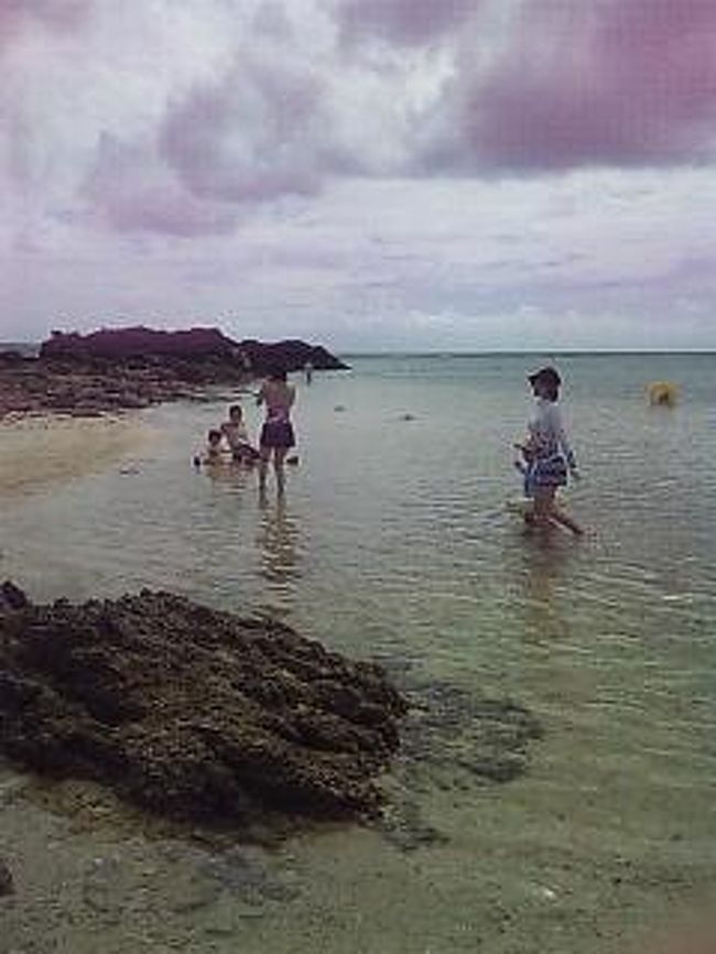 さっそくホテルのビーチへ行ってみたら干潮の時間でしたが、海がきれいで、膝ぐらいの深さのところでタイが泳いでいました。こんなところでタイに会えるなんてびっくり。