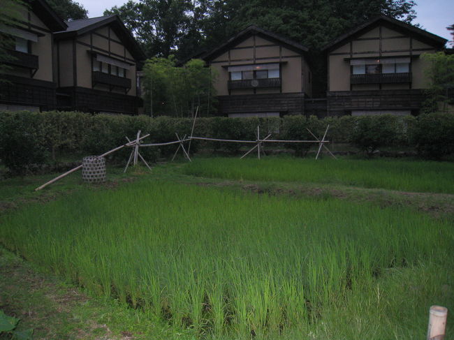 これまた時詳しくは聞けませんでしたが、蛍なんかも見れるとか。