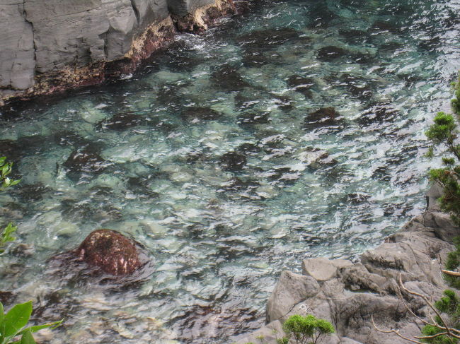 さすがに水が綺麗。