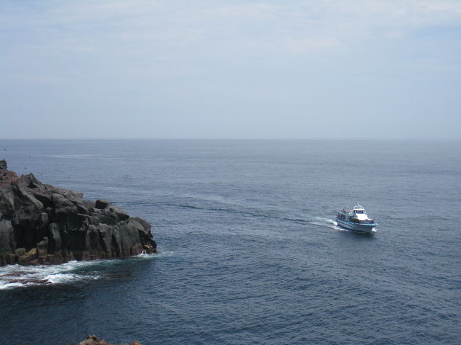 クルージングしてる船もちらほら。