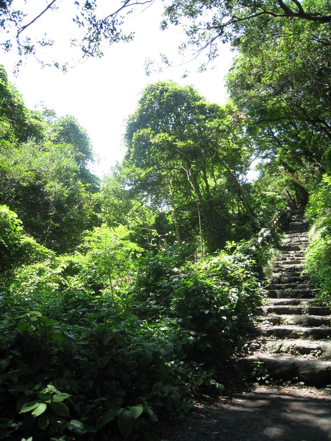 緑も綺麗だぁ。