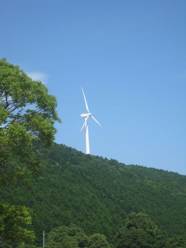 バイオパークの近くには大きな風車もありました。