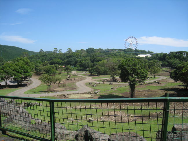 動物園は本当に広い。。