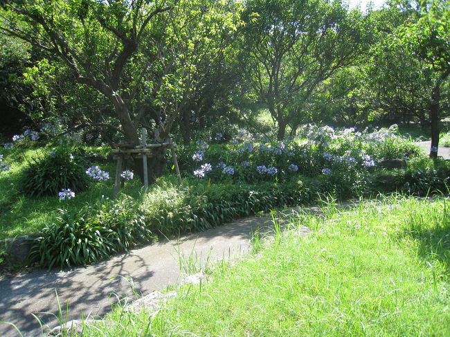 本当に暑かった。。