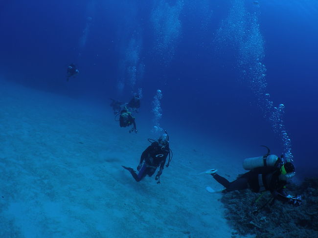 わははは<br />やっちまったよ〜（汗）<br />早く潜降しなくちゃ！とあせったら浮いちゃって沈めません。<br />せっかちなだんな様はひよこを置いてあっという間に潜降していっちゃうし〜<br />ひどいわぁバディなのに。<br />皆様お待たせしてごめんなさい。<br />ご迷惑おかけしました。<br /><br />だんな様の「あんなにフィンでバタバタしてたら沈まないよ。みんなチッって顔してたし。」を聞いて殺意さえ感じたわ。冗談ですけど。<br /><br />はぁぁ〜ほんと上達しない自分が悲しいです。