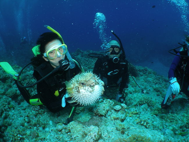 ふふふっ<br />体験ダイバーさんみたいでしょ。<br />ヒトヅラハリセンボンを捕獲。<br />迷惑だったかしら。ごめんなさい。遊んじゃいました。