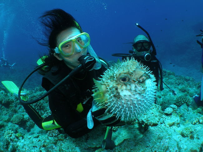 アップで見るとかなり怖い顔してます。<br />かなりお怒りモードだったのね。<br /><br />この後　他のダイバーさんに渡したら<br />｢いてぇ〜」と水中でも大きな声が聞こえました。<br />ばっくり喰いついてきたそうです。<br />グローブしていても、めちゃ痛かったと後で聞きました。<br /><br />ほんとごめんなさい。<br />水中で生き物に触っちゃ駄目ですね。