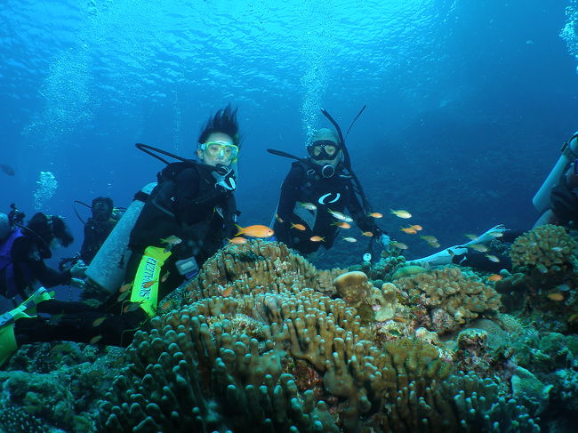 こちらのポイントは黒島ツインロック<br />最初のブリーフィングでは「多少流れがあるので<br />流されないでね〜」という事でしたが、全く感じません。<br /><br />のんびりお魚ウオッチングや写真撮影を楽しみながら遊べました。