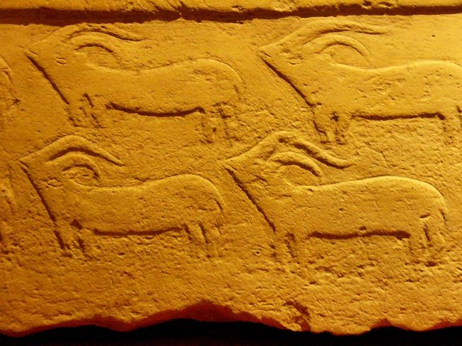 昔はマルタ島にもこんな動物がいたのでしょうか？レリーフに残されている動物は山羊と豚と羊です。