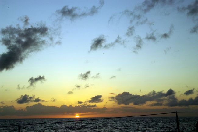 あー、落ちるぅーーー。<br /><br />ちょっと線香花火の最後っぽい。