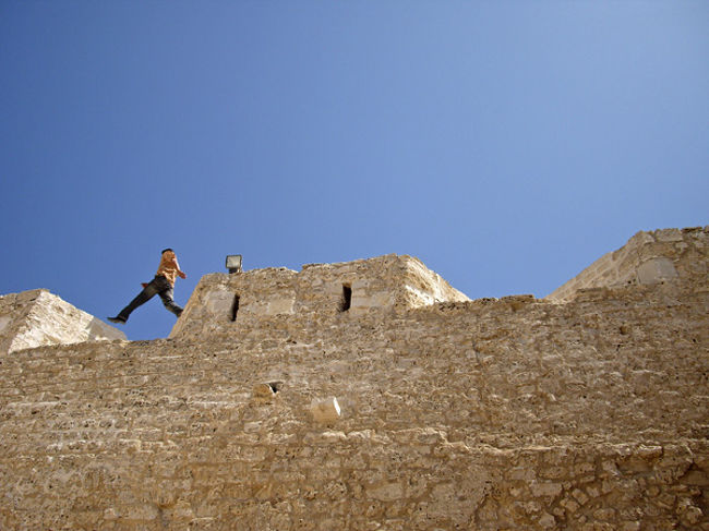 ひょ〜いっ、ひょいっと歩いているけど、こちらは冷や冷や。<br />
