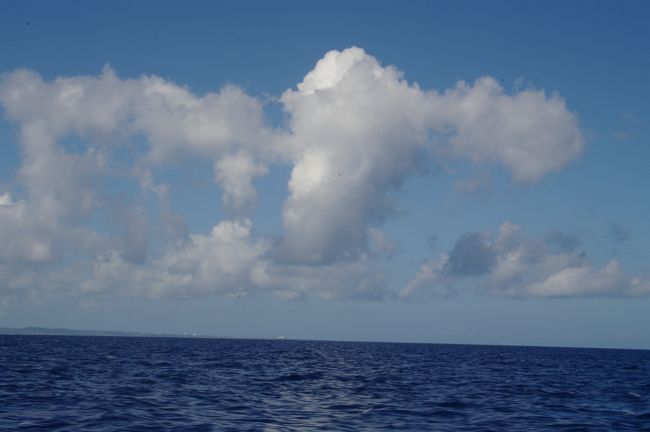 今日もいい天気です。<br /><br />日に焼けそう・・・。<br /><br />