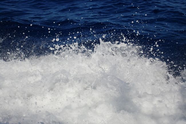 かなりのスピード出していますが、つりのポイントまで約40分ほど。快適クルーズです。<br /><br />ヒマなので、以前フォートラベルの撮影教室を思い出して水しぶきの写真などを撮ってみました。<br /><br />