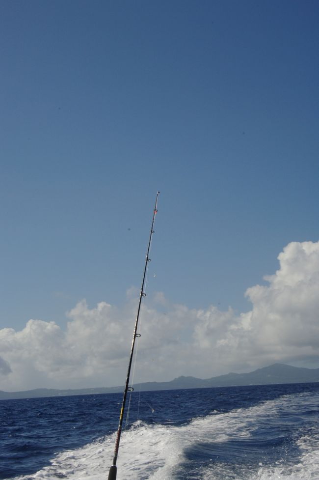 エサは最初は、オキアミでしたが途中から小さなエビに変えました。<br /><br />