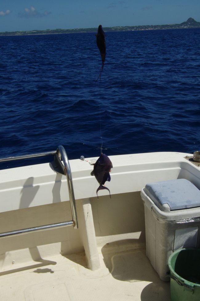 時には、一回で2匹もゲット！！<br /><br />イェイ！！<br /><br /><br />と、いう話を後から同じツアーのメンバーさんに話していたら「誰かが下に潜っていて、針に魚をつけているんじゃないの？」といわれました（笑）。<br />イヤー、それはないと思う。<br />