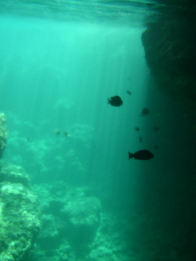 青の洞窟　<br /><br />入口付近の海底