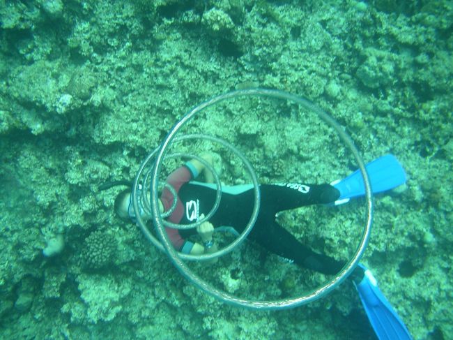 一発芸をやるから見ていてね、とNさん。<br /><br />綺麗な輪を見せてくれました。