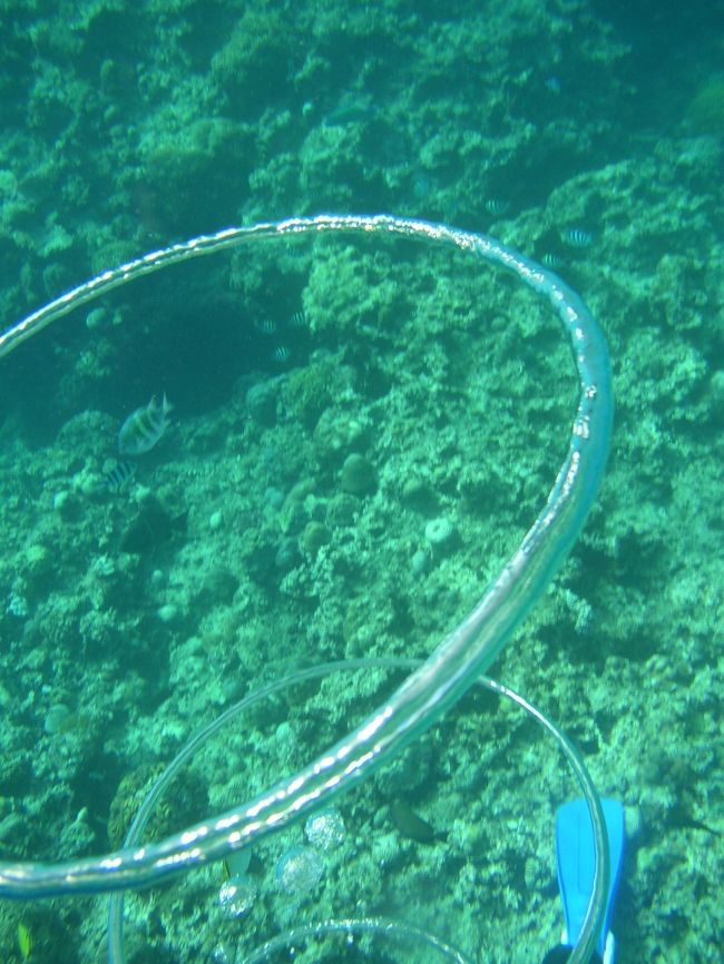 コツがあるそうです。