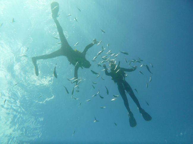 海底からもう一枚パシャリ。<br /><br />お魚さんからはこんな感じに見えるのかな？