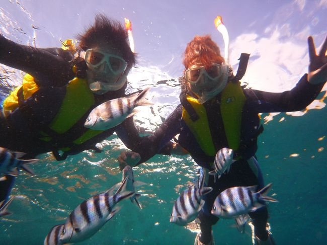 沢山のお魚さん達に囲まれて大興奮！！