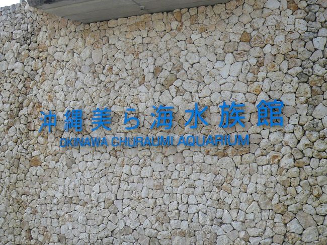 美ら海水族館にやって来ました。