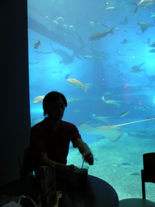 「巨大水槽横のカフェ。一番水槽寄りの席を順番待ちしてでも座る価値有り！」<br /><br />と前編でお世話になった首里さんに教えて貰い絶対座るぞー！と気合を入れていましたが調度席が空きすんなり座る事が出来ました。ラッキー☆<br /><br />特等席です。