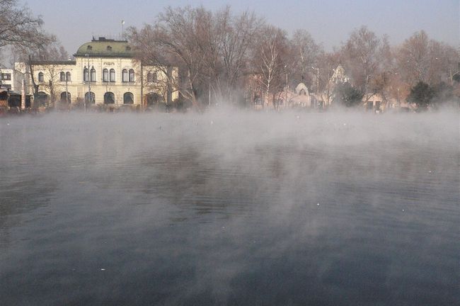 ハンガリーは温泉でも有名ですが近くにあるのか池から湯気が出ていました。