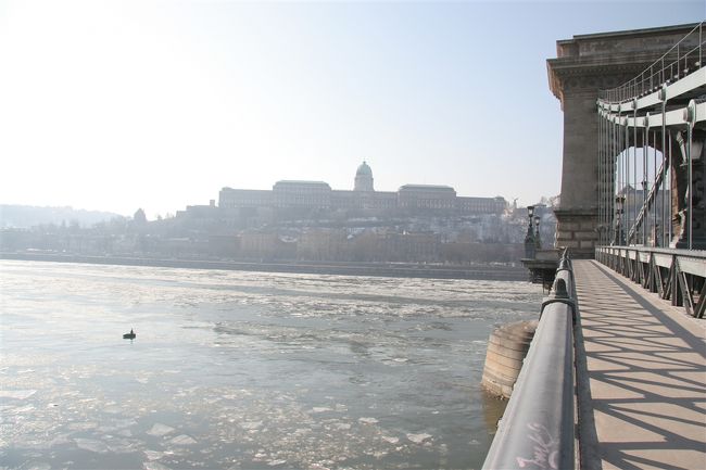 くさり橋からブダの丘の王宮を撮影。