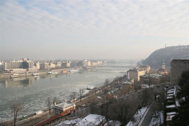 王宮からエルジェーベト橋方面を撮影。