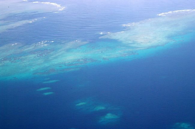 飛行機が石垣に近づいてきました。<br />窓から珊瑚の海が見えます。<br />これだけ珊瑚が見えるってことは、絶対海きれいだよなぁ。<br /><br />ワクワクするリゾート好きな私。