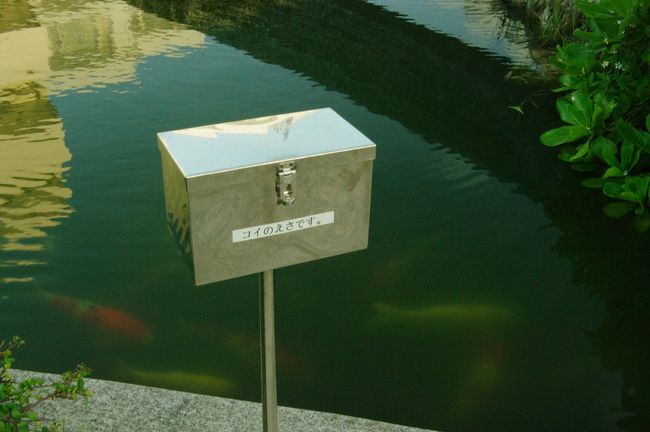ホテルの中には池があり、鯉がいました。<br /><br />なんとエサがおいてあり、自由にエサをやることができます。<br /><br />色々なリゾートホテル泊まって、魚はいたけどエサまでおいてあるのは初めて。<br />