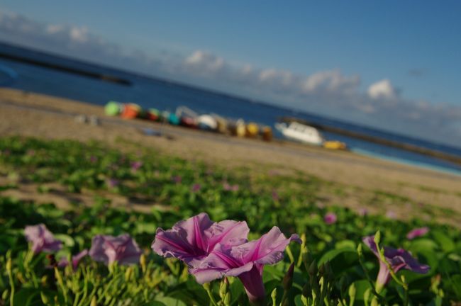 ビーチはさほど広くありませんが、小さなお子様にはこのぐらいほうがいいかも。<br /><br />