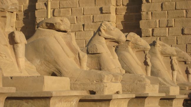 スフィンクス　３kmの参道の両脇に牡羊のスフィンクスが並んでます。