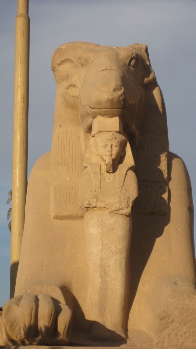 　きれに残ってる　スフィンクス