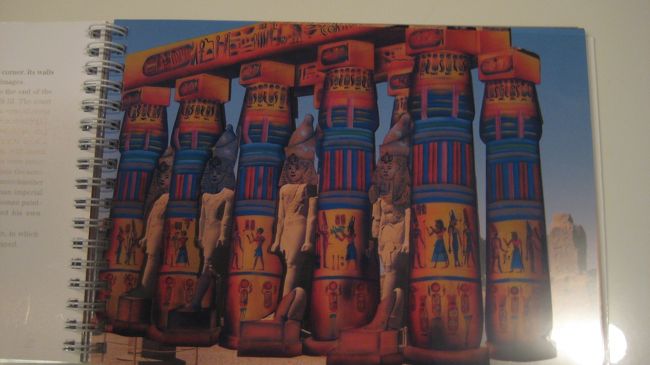 本より・・<br />　今はこんな感じ　↓