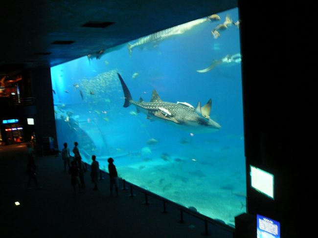 帰る前にもう一度巨大水槽をパシャリ。<br /><br />閉館前なので空いています。