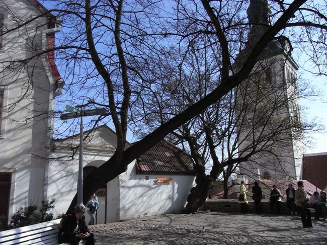 リュヒケ・ヤルク通りを抜けたところの高台。