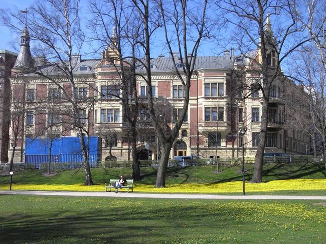 気持ちのいい午後の陽射しに男の人も居眠り。