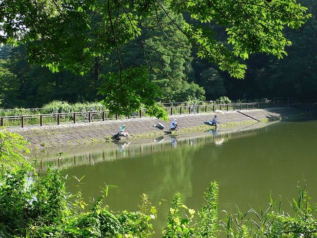 リニューアル多摩湖 福生 武蔵村山 東京 の旅行記 ブログ By もろずみさん フォートラベル