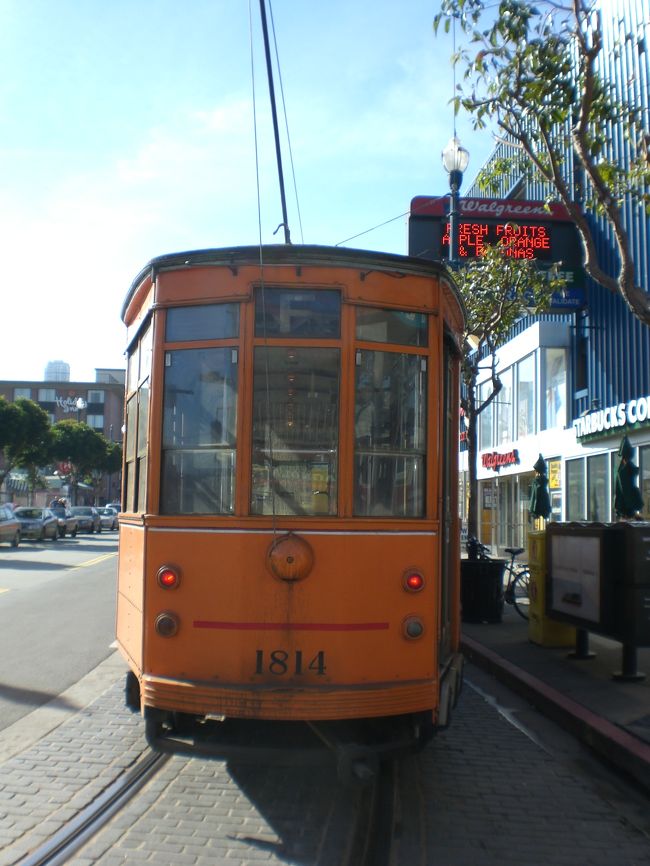 正面から。<br />ちょっとオトボケ顔です。